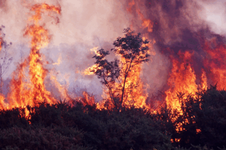 Why Labor’s failure to meet planned burning targets could lead to a ‘catastrophic’ fire season