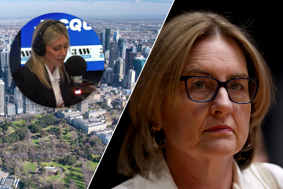 Article image for What Jacqui Felgate finds ‘insulting’ about the Allan government’s youth crime announcement