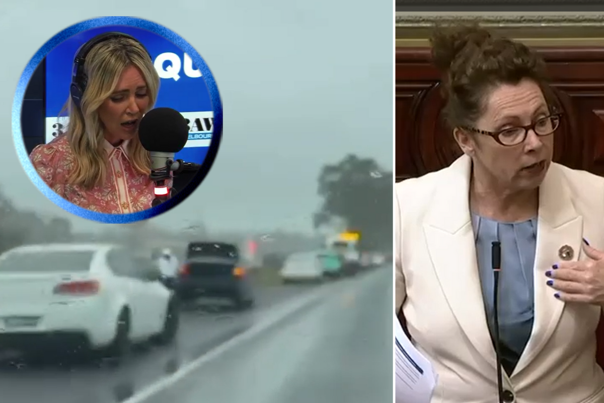 Article image for Jacqui Felgate fires up at ‘disrespectful’ MP comments on Nar Nar Goon pothole ‘conspiracy’