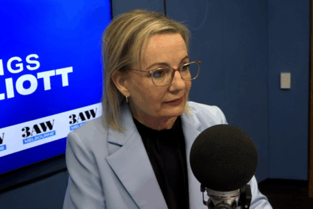 Tom Elliott grills Sussan Ley over the opposition’s immigration policy