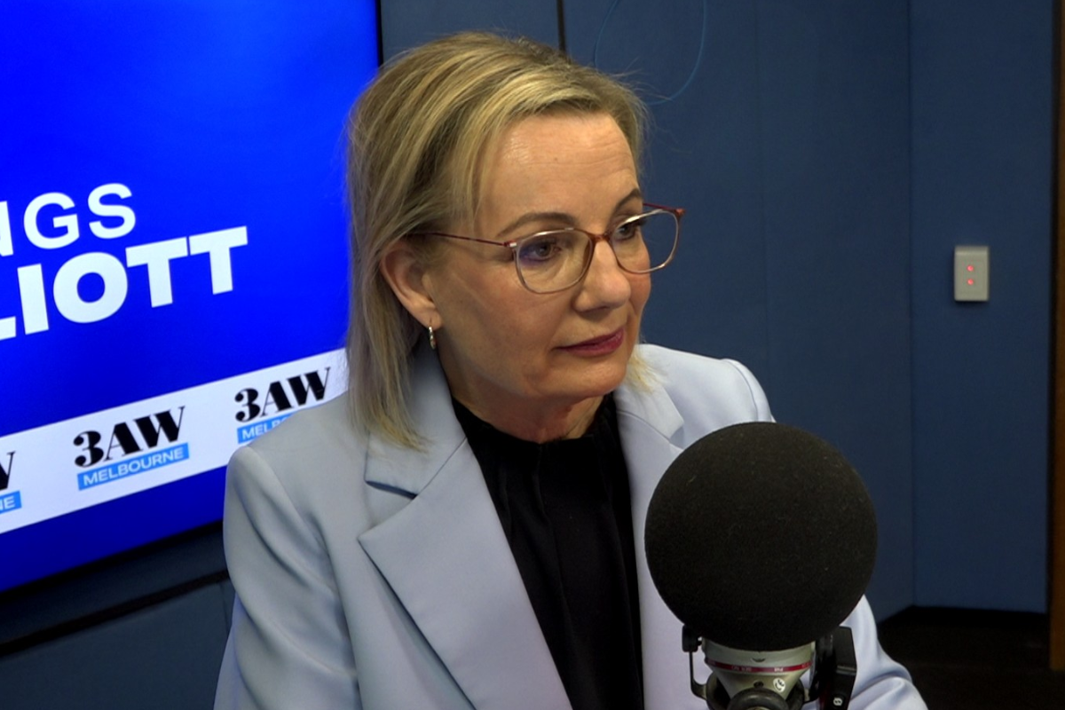 Article image for Tom Elliott grills Sussan Ley over the opposition’s immigration policy