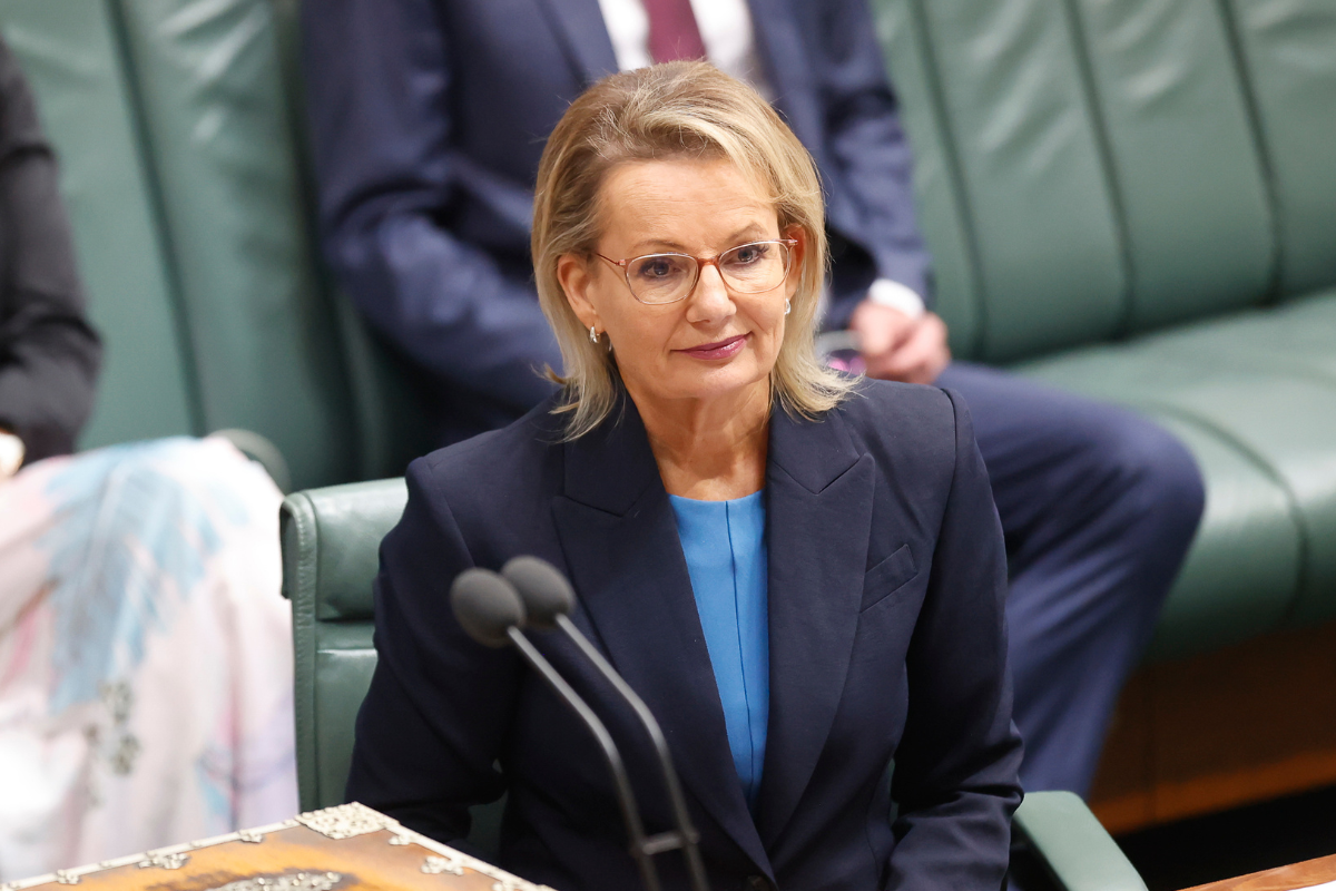 Article image for ‘Shambolic’: Expert weighs in on Liberals’ marathon net-zero meeting