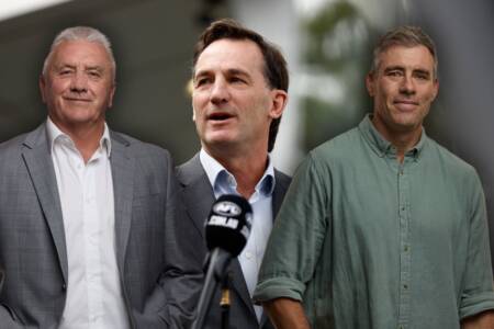 What Tony Shaw and Matthew Richardson think of the new AFL finals format