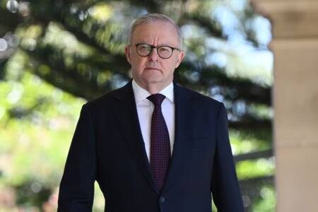 The audio of Albo that Tom Elliott decided to bring up amid Anika Wells saga