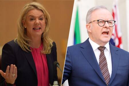 Why a Nationals senator has labelled Anthony Albanese a ‘coward’