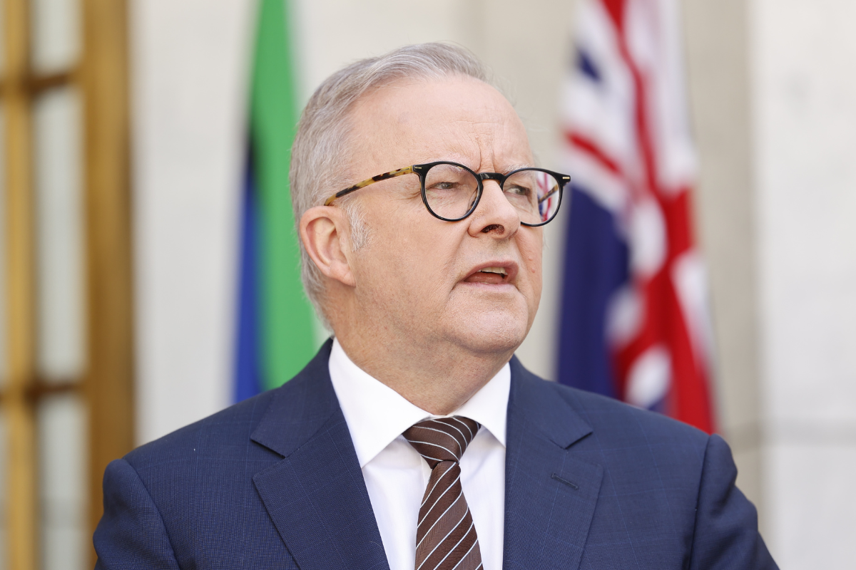 Article image for ‘I’d be nervous too’: Why Shane McInnes thinks the PM is ‘failing again’