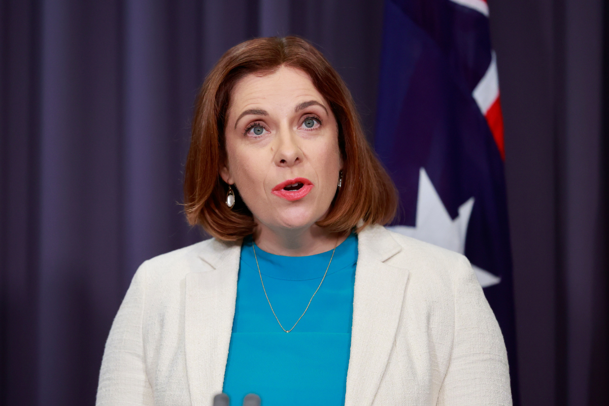 Article image for AUDIO: Hear Anika Wells’ tense exchange with a journalist following expenses saga