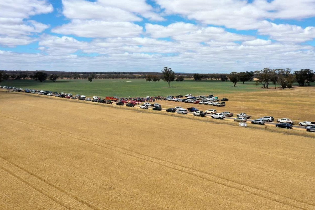 Article image for Why one farmer thinks entry attempts by VNI West inspectors are ‘pure taunting’