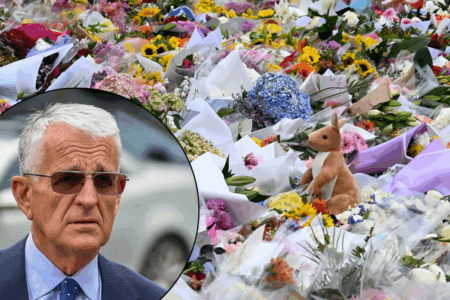 Former Deputy PM John Anderson says gun laws are ‘not the real issue’ following Bondi attack