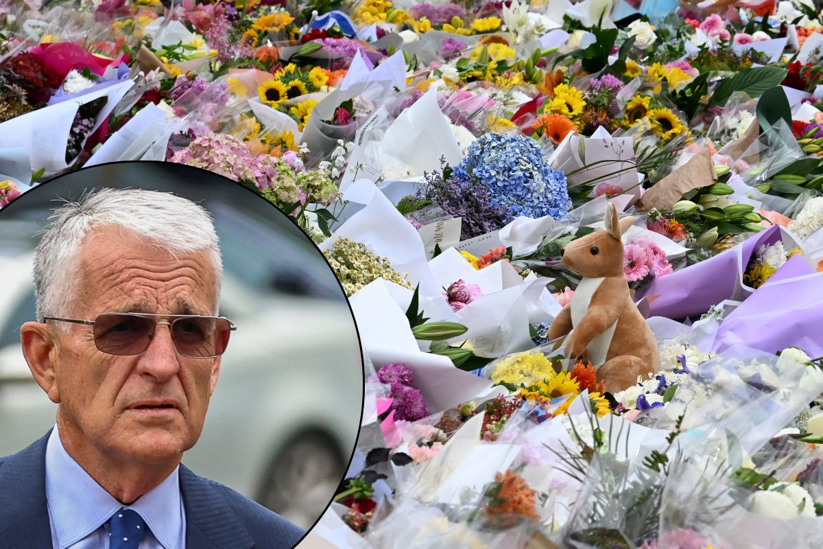 Article image for Former Deputy PM John Anderson says gun laws are ‘not the real issue’ following Bondi attack