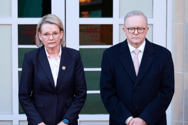 'Deer in headlights': A scathing assessment of the political response to th