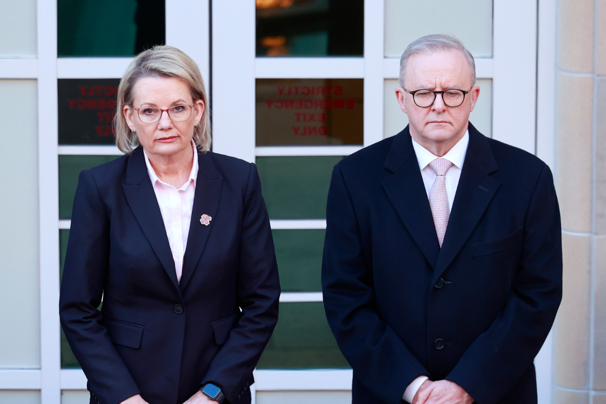 Article image for ‘Deer in headlights’: A scathing assessment of the political response to the Bondi tragedy