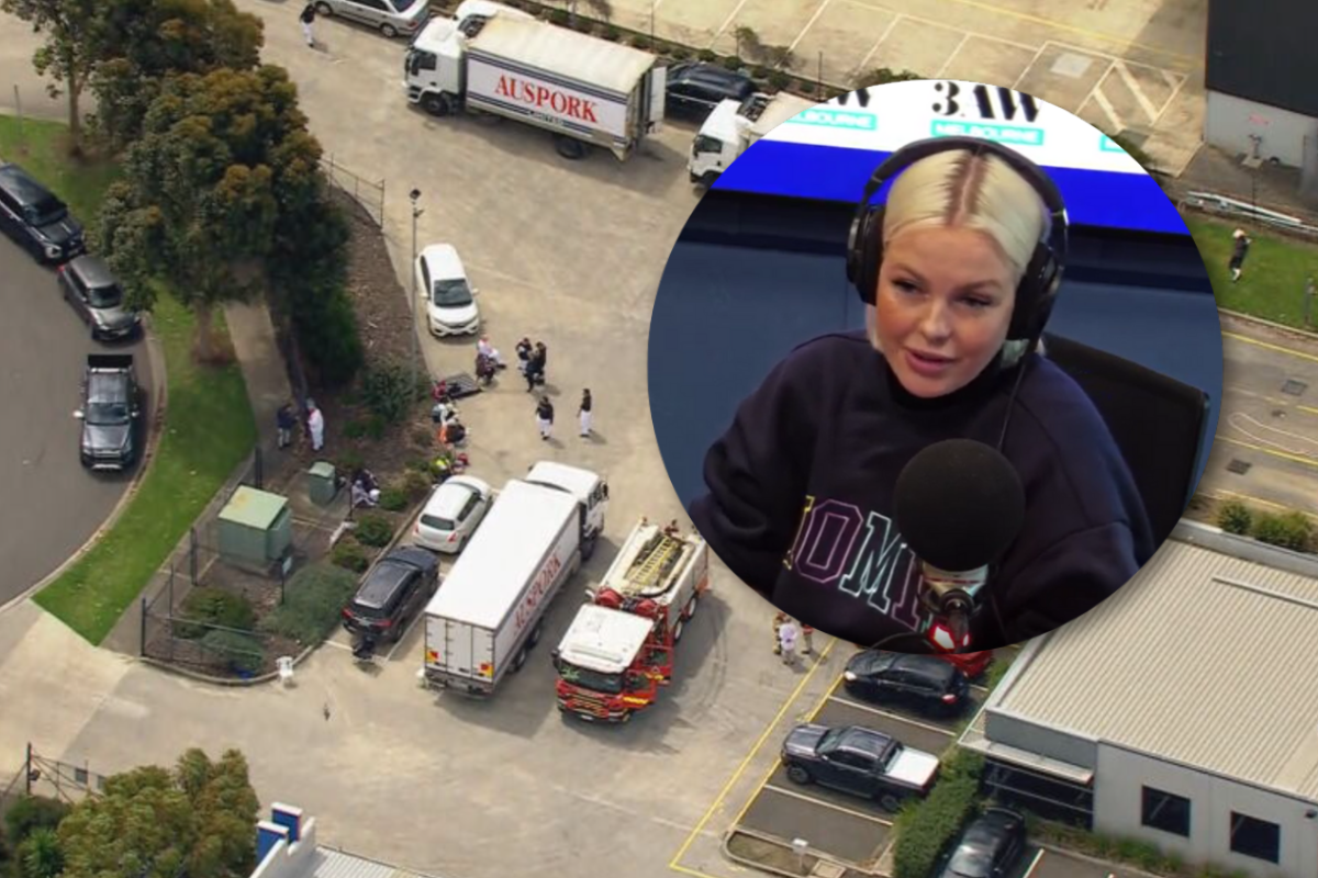 Article image for Animal Justice MP weighs in on poisonous gas leak at Melbourne pork factory