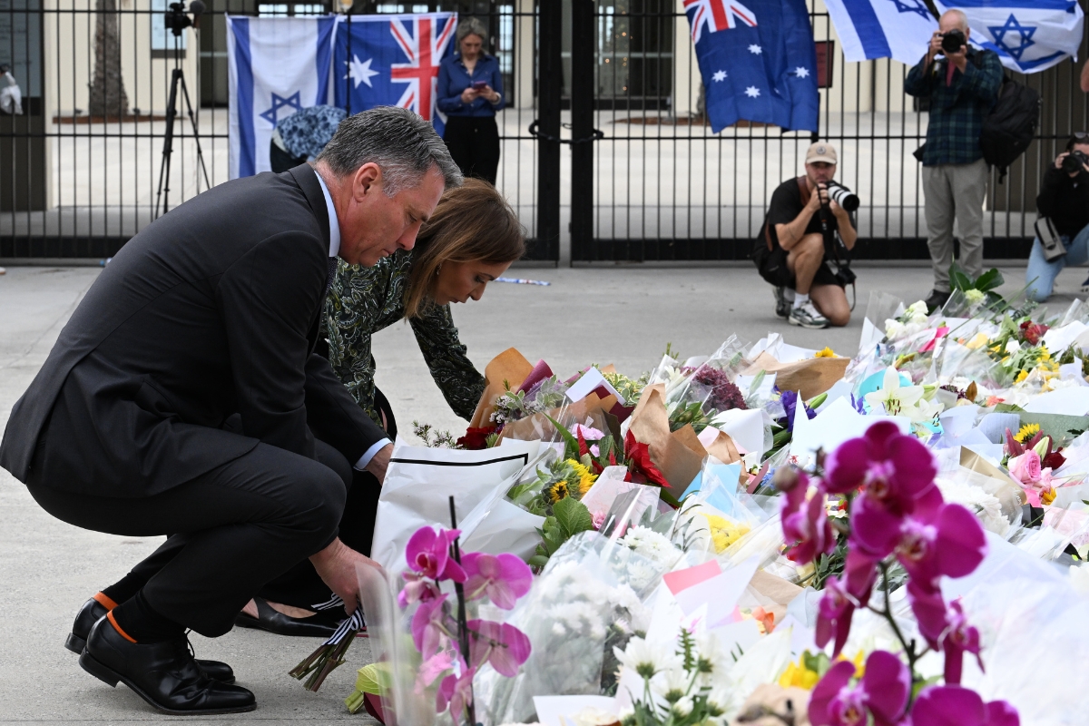 Article image for Deputy PM addresses the claim that gun law reforms ‘feel like a diversion’