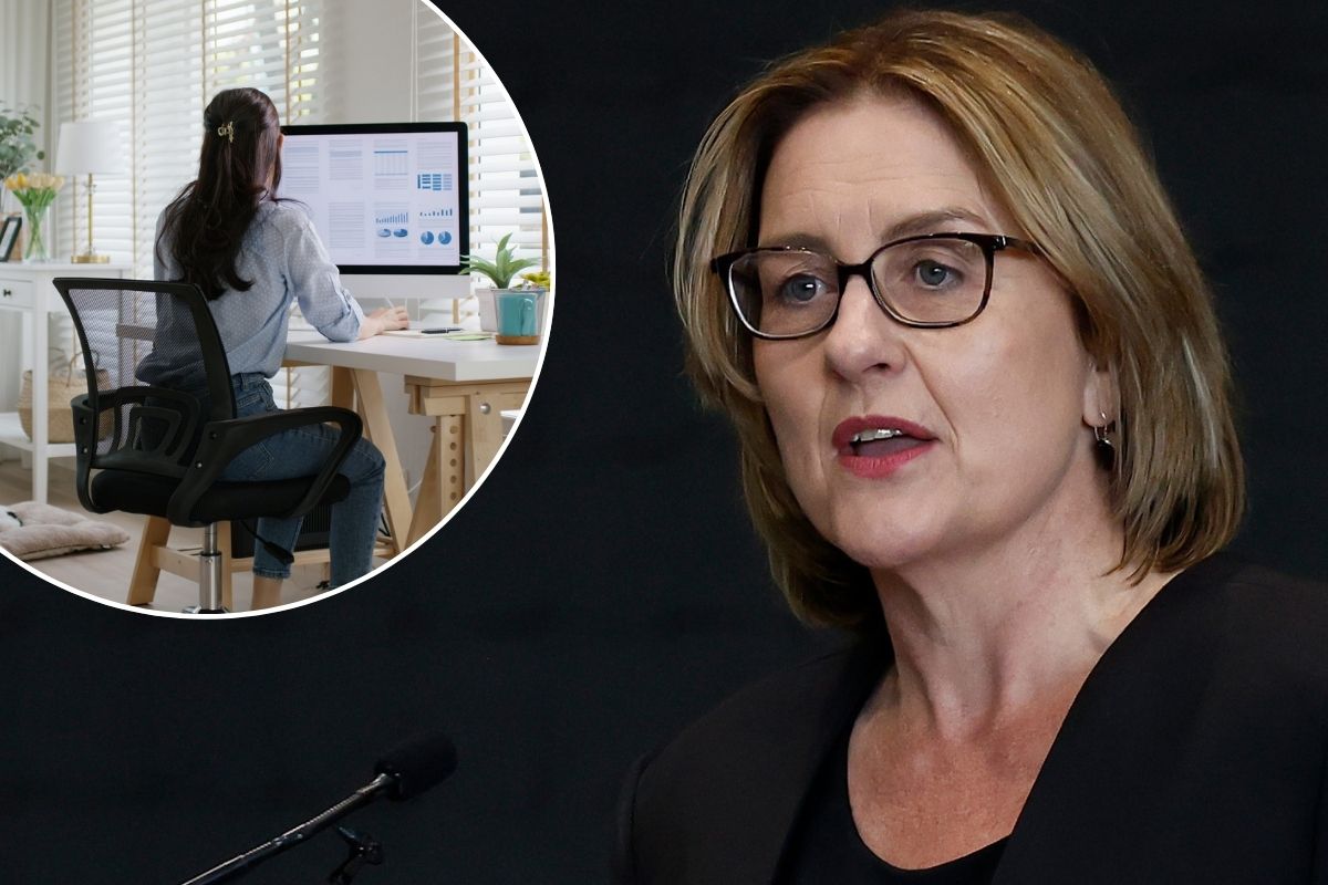 Article image for Liberal MP accuses Jacinta Allan of ‘gaslighting’ Victorians over WFH plan