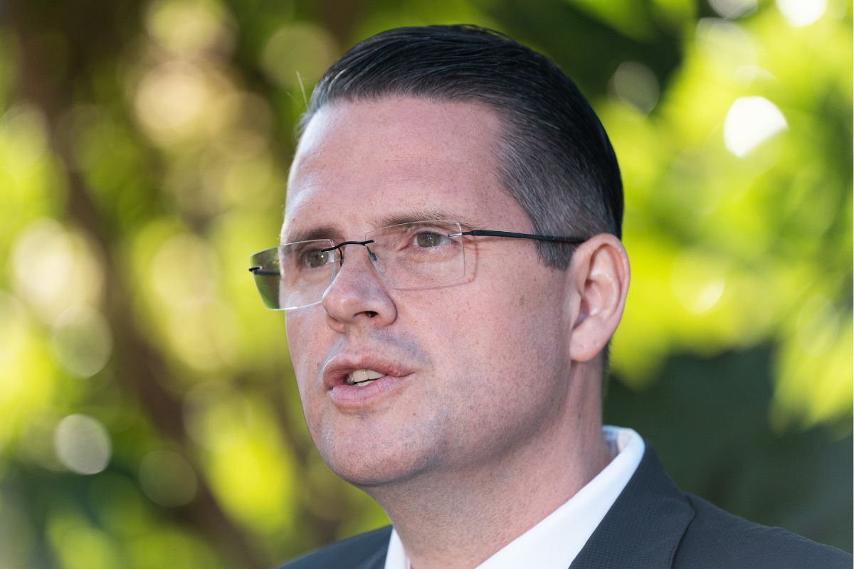 Article image for ‘Terrible incident’: Brighton MP provides insight into chaotic bayside brawl