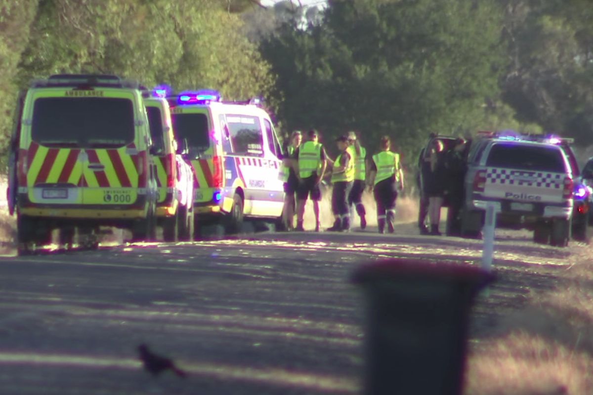 Article image for Four killed in horror crash near Victoria-New South Wales border