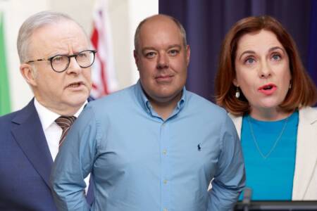 Why Shane McInnes has questioned Albo’s latest move in travel rorts saga