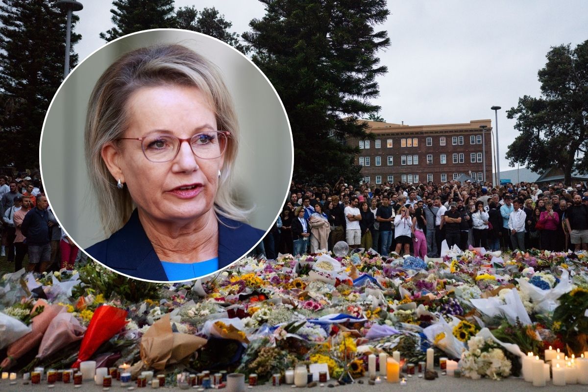 Article image for The questions Sussan Ley has asked after the Bondi Beach massacre