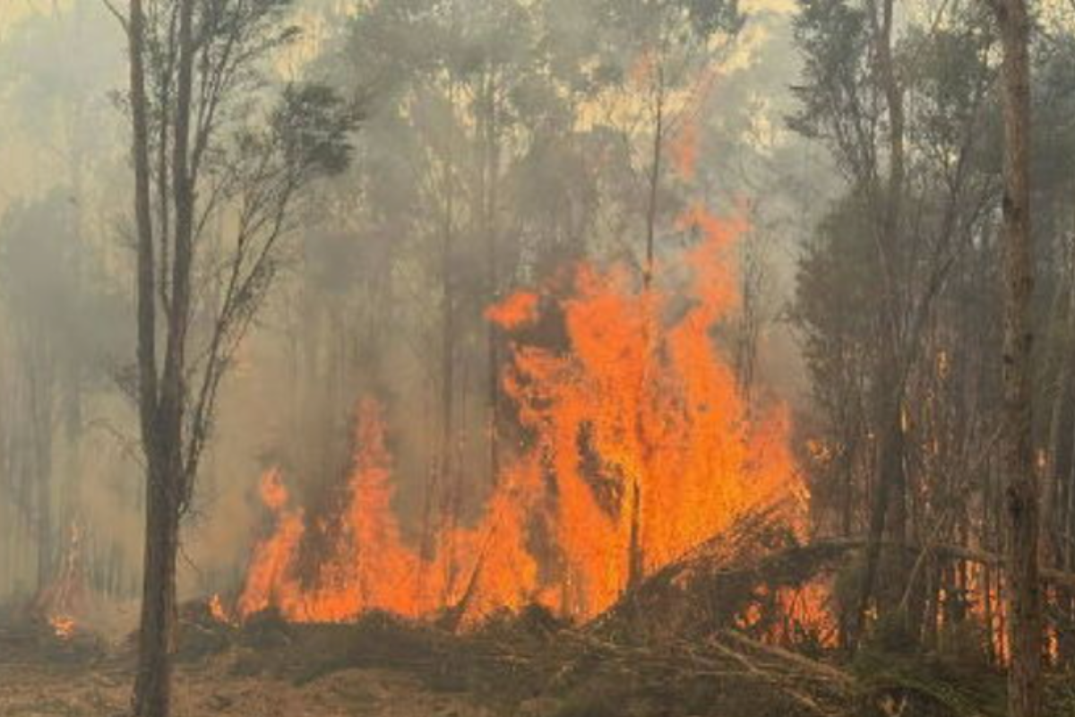 Article image for When bushfire impacted residents could return home