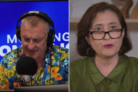 Energy Minister denies record electricity demand led to blackouts