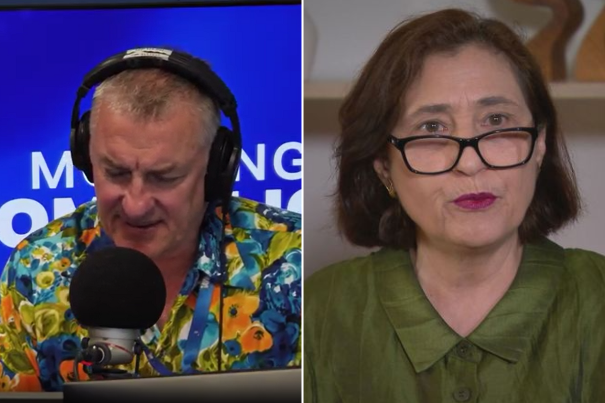 Article image for Energy Minister denies record electricity demand led to blackouts