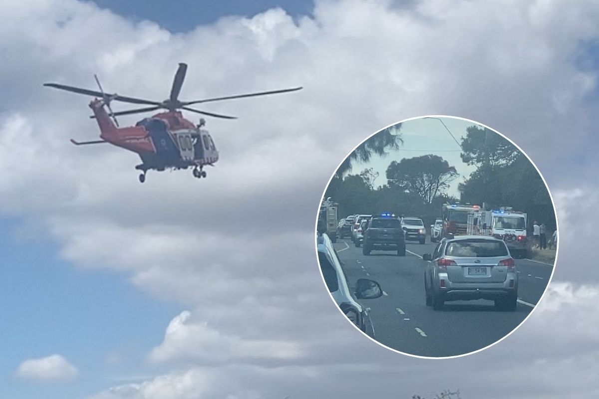 Article image for Woman in critical condition after falling down embankment in Beaumaris