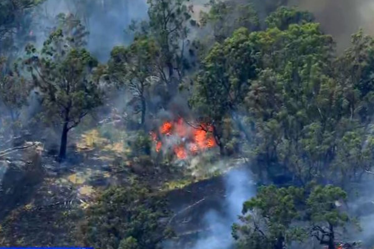 Article image for ‘I’m not tolerating that’: Councillor claps back at criticism over bushfire support