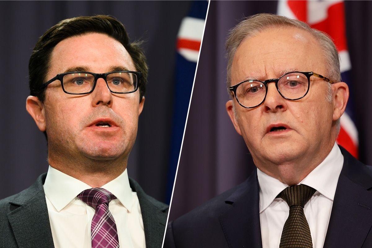 Article image for ‘Petty, puerile politics’: David Littleproud slams Albo over recent legislation