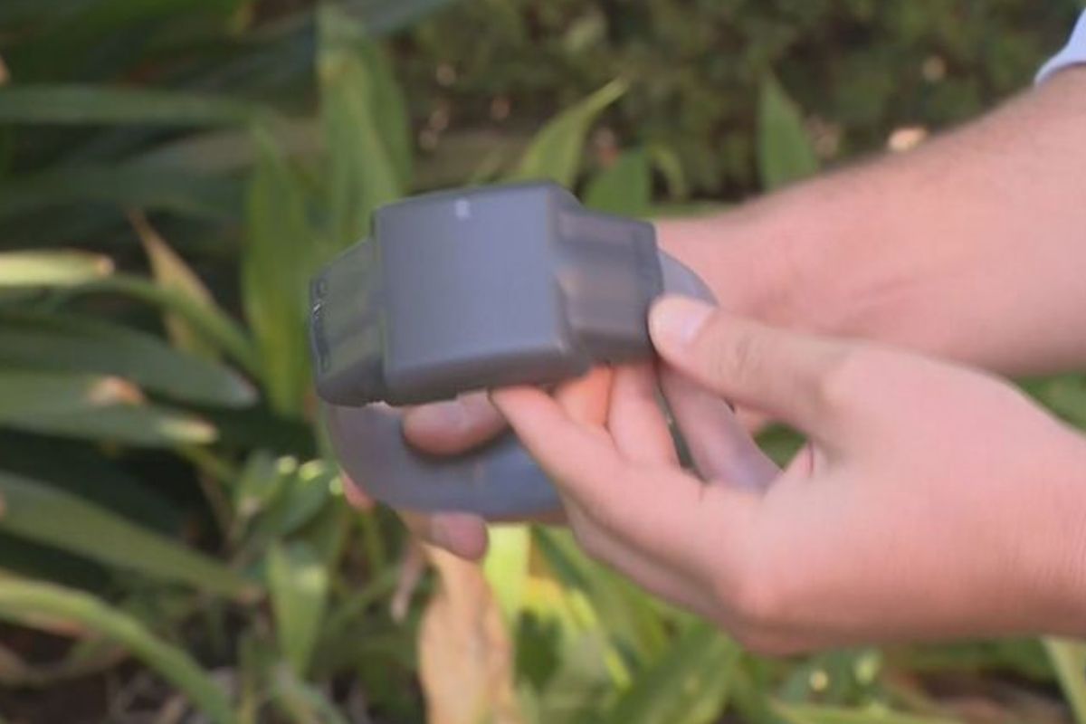 Article image for 3AW reporter reveals ‘surprising’ details about Victoria’s youth offender ankle bracelet trial