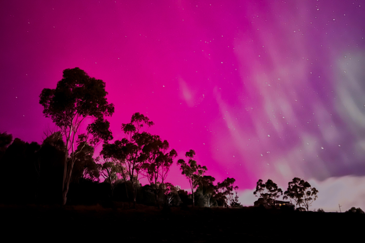 Article image for ‘Might be a good opportunity’: Your next chance to see the Aurora Australis