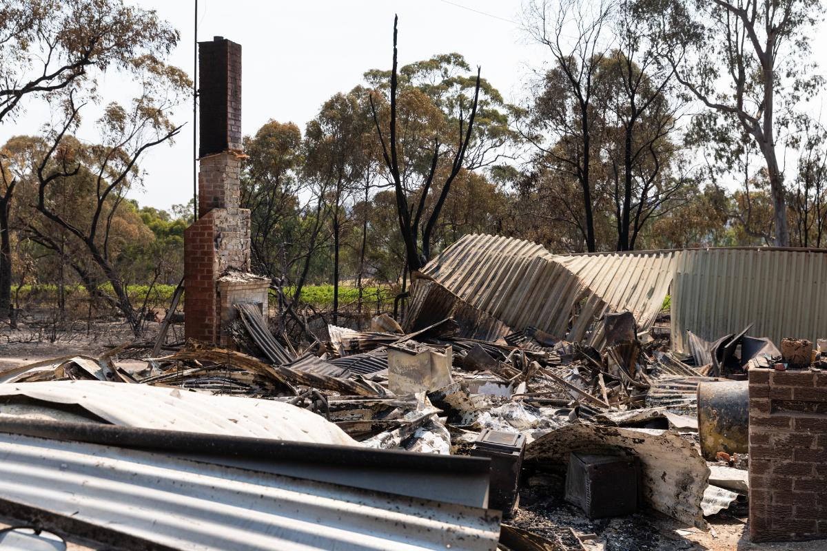 Article image for ‘The bureaucracy is paralysing’: MP slams admin ‘failures’ as fire relief payments cause confusion