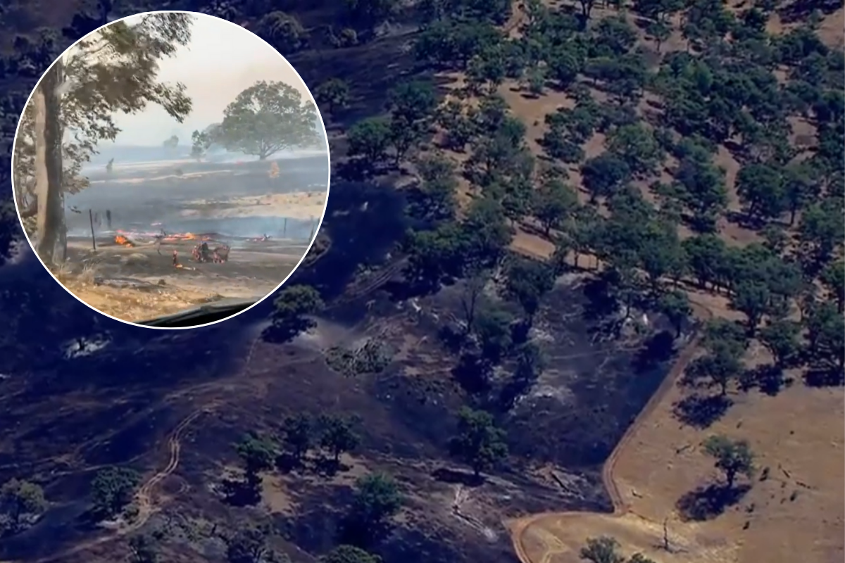 Article image for ‘It’s just not on’: Authorities issue key message to ‘fire tourists’