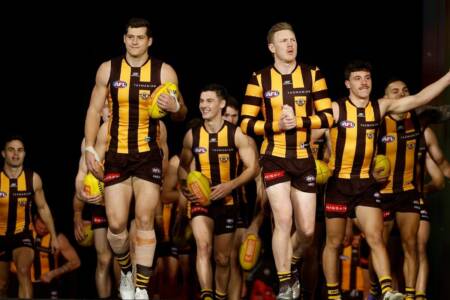 The two Hawthorn players Jon Anderson described as ‘pure footballers’