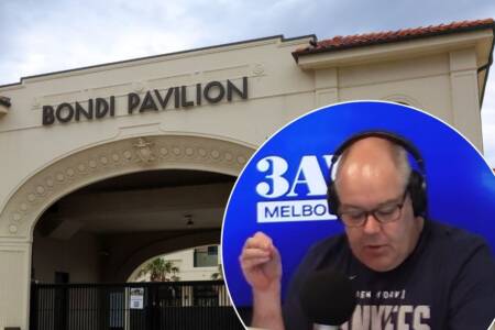 Shane McInnes hits out at ‘reprehensible’ cartoon depicting calls for Royal Commission