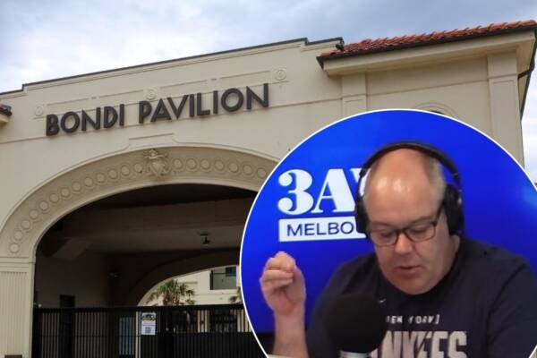 Shane McInnes hits out at 'reprehensible' cartoon depicting calls for Royal