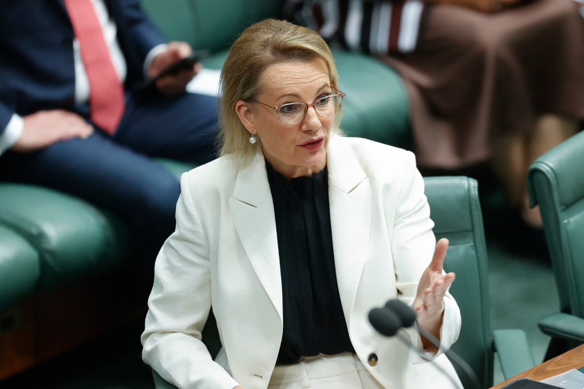 Article image for ‘Too much bad blood’: Tom Elliott’s grim prediction following Coalition split