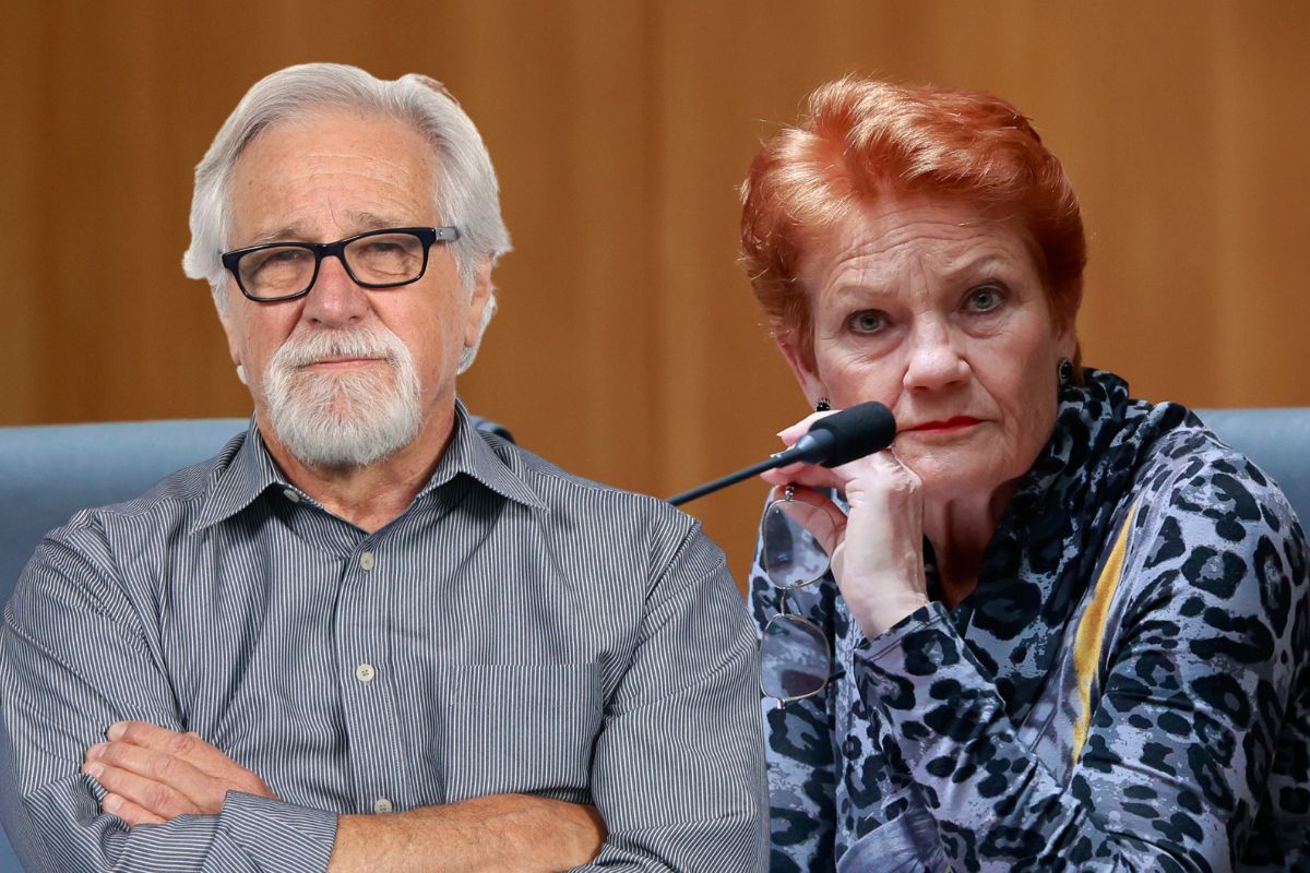 Article image for Neil Mitchell: Why Pauline Hanson is emerging as a ‘force’ in Australian politics