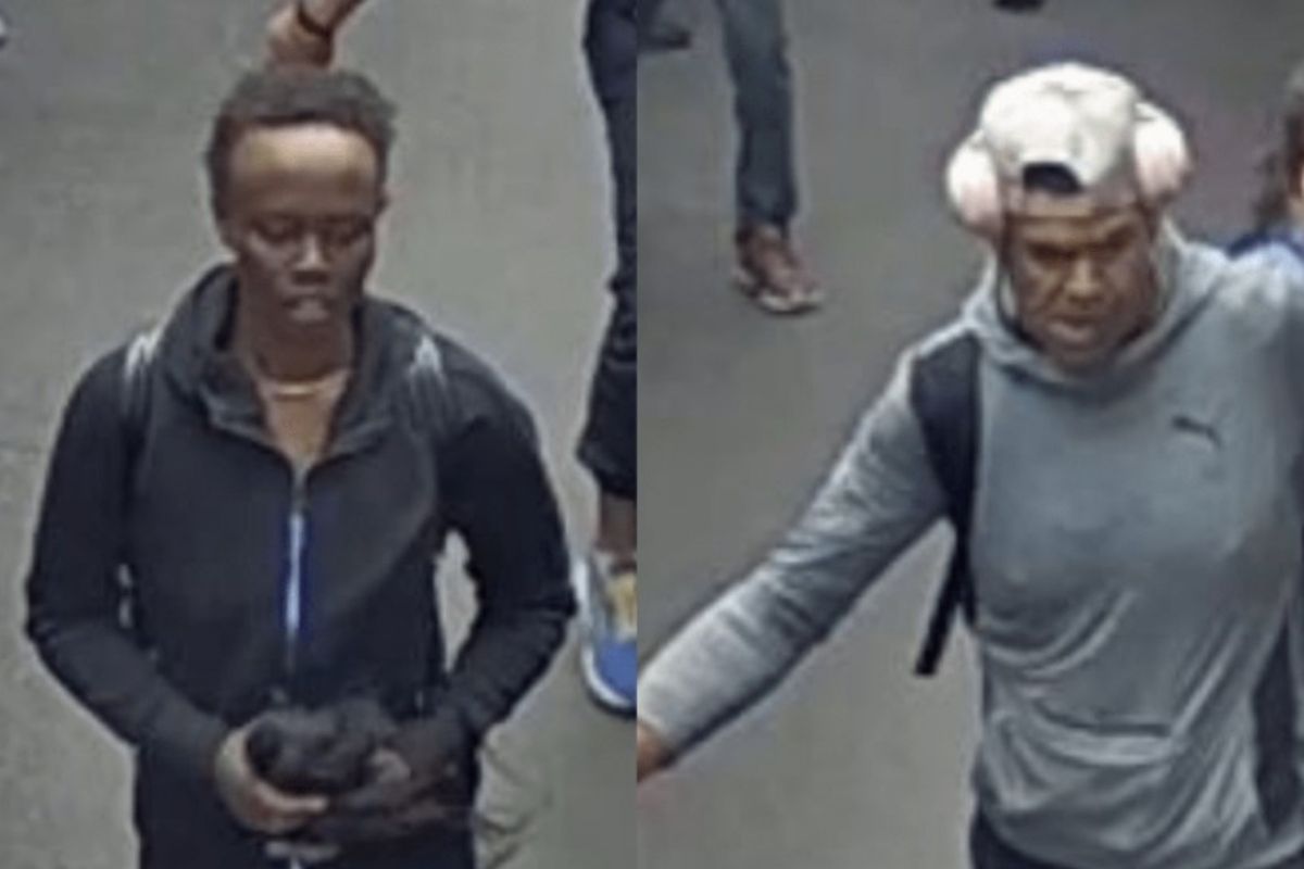 Article image for Woman assaulted and wig stolen during theft in North Melbourne