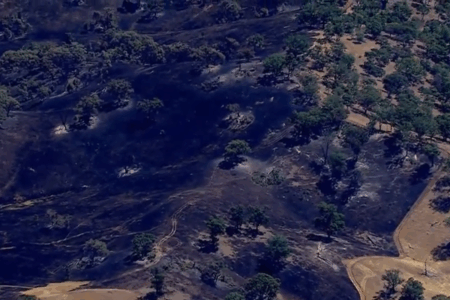 Regional businesses urge Victorians to visit following tourism slump