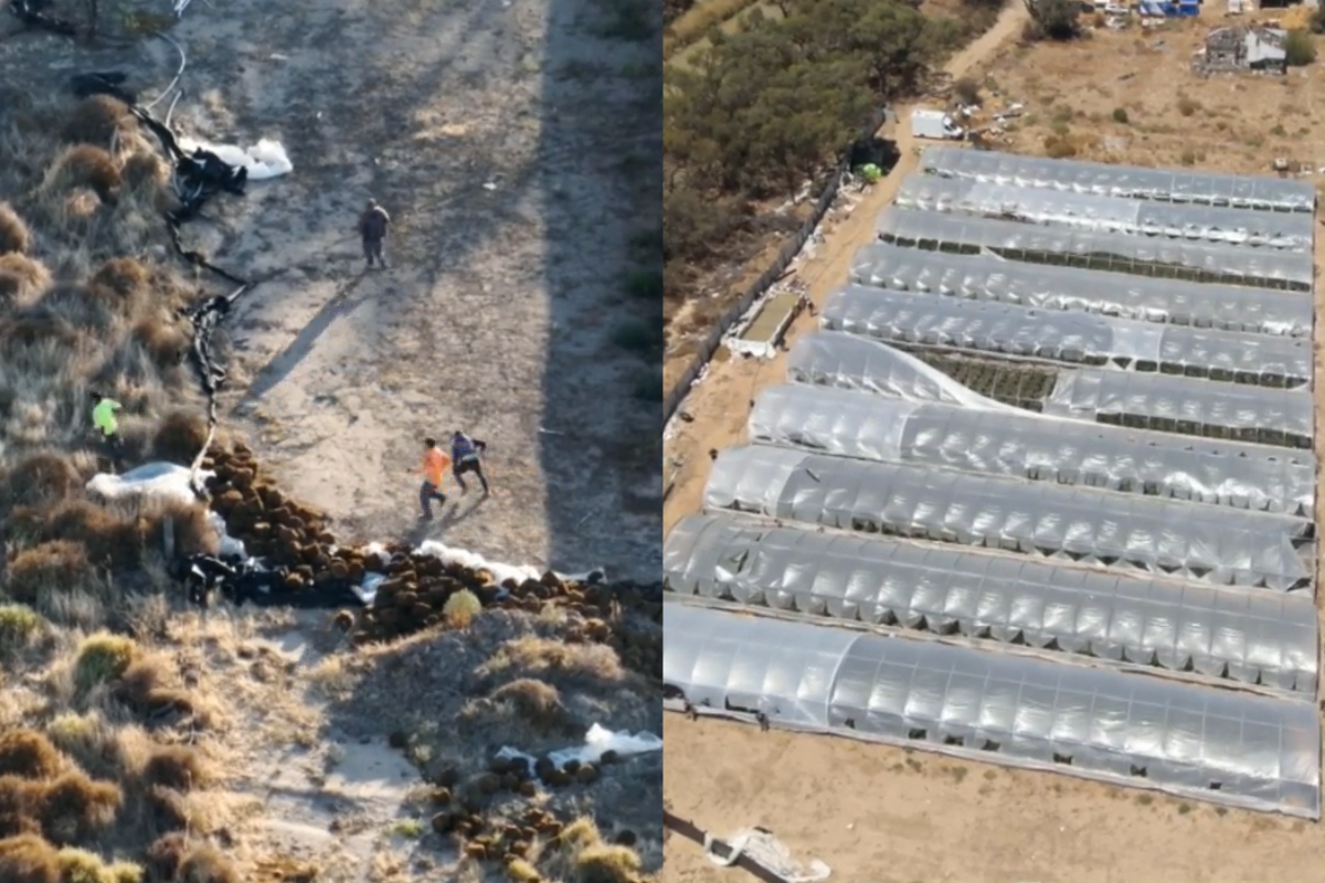 Article image for Alleged offenders attempt escape via irrigation channel following drug bust worth millions in Victoria’s north-west