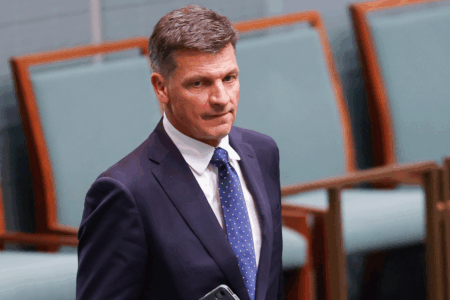 Angus Taylor speaks for first time as federal opposition leader