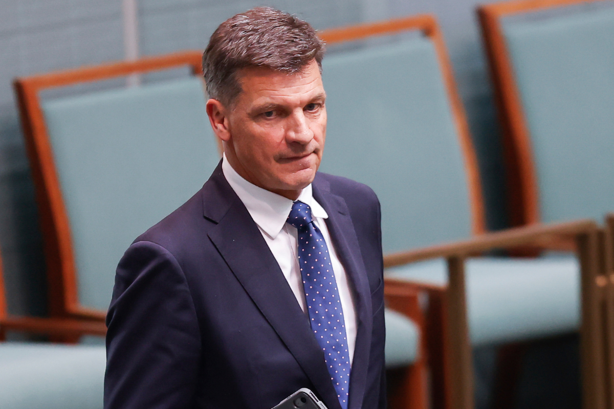 Article image for Breaking: Angus Taylor elected Opposition Leader following leadership spill