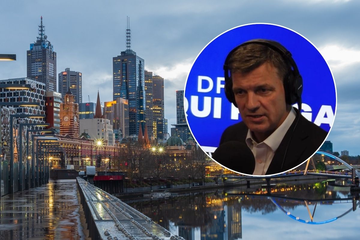 Article image for ‘It’s struggling’: Angus Taylor’s candid comments about the state of Victoria