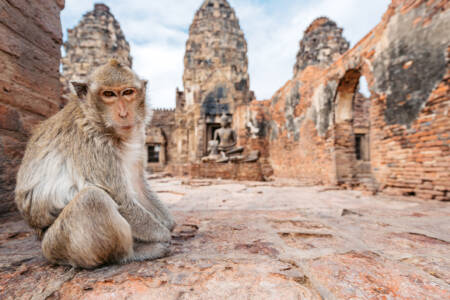 ‘Four rival gangs’: Attacks lead to surge in travel insurance claims