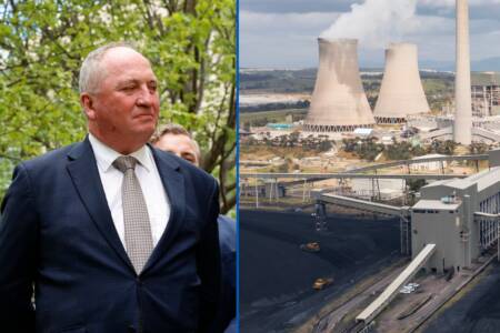 ‘Drives prices down’: Barnaby Joyce on One Nation’s plan for more coal-fired power stations