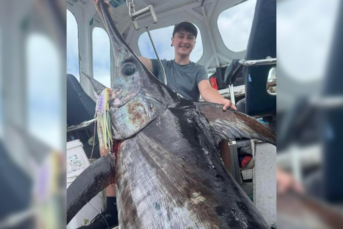 Article image for Teenager makes record-breaking catch down in Tasmania!