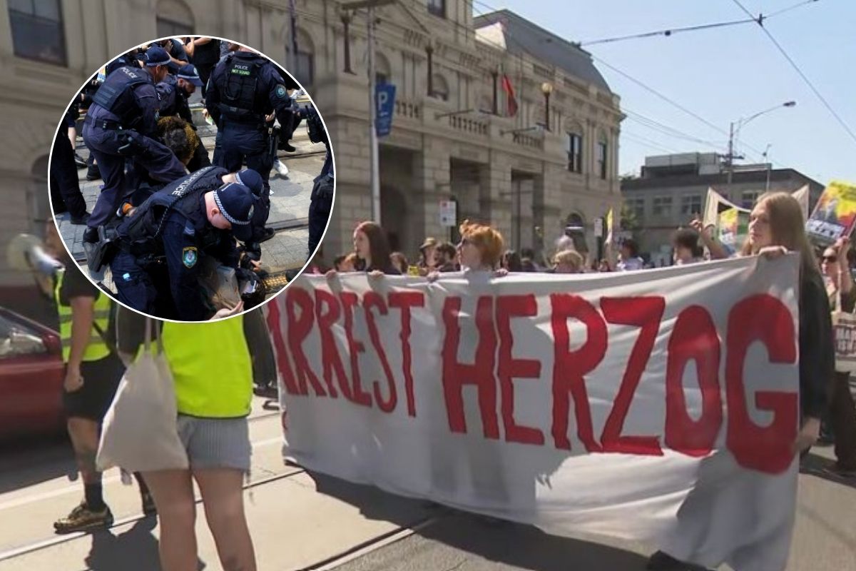 ‘Don’t be tricky’: Jacqui Felgate goes back-and-forth with pro-Palestine protester