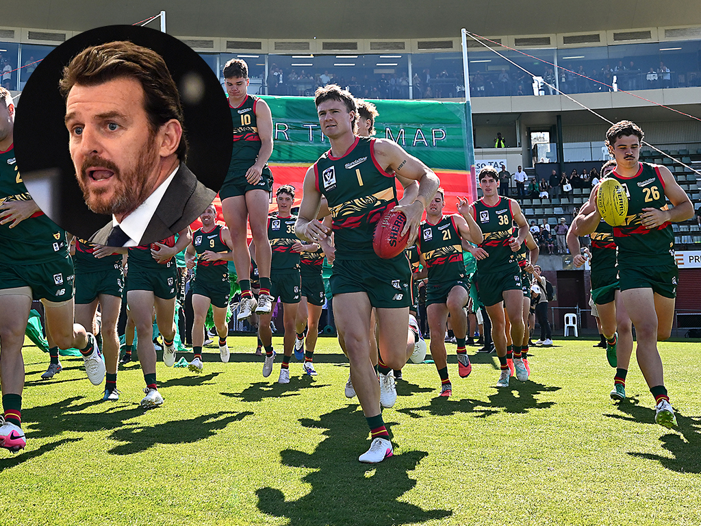 Article image for Tasmania looks to Launceston: Stadium delays pushes Devils north