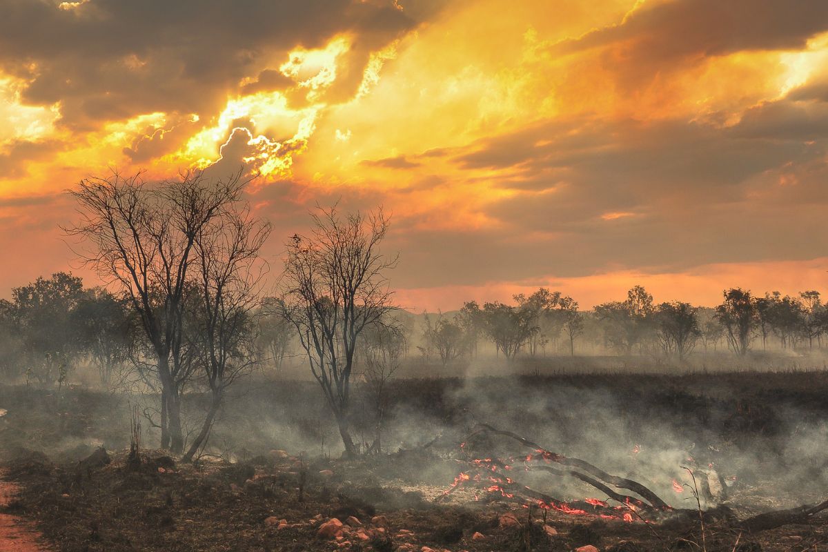 Article image for Australia braces for ‘Super El Niño’: Catastrophic weather looming for late winter